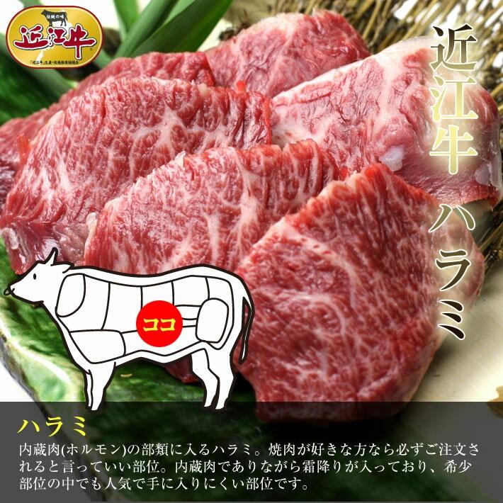 牛肉 総内容量1.1kgバーベキューに最適！近江牛焼肉セット