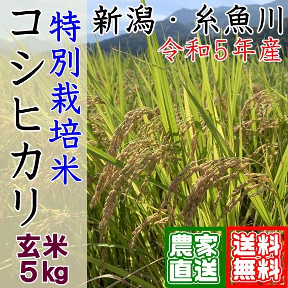 新米 5kg 玄米 特別栽培米 コシヒカリ 令和5年 新潟県 糸魚川 能生米  農家直送 送料無料