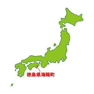 特別栽培米 あわみのり 四国徳島県産100％ おいしいお米 白米10kg （農家直送）令和5年産 新米