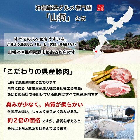 沖縄 きびまる豚 冷凍 ソーセージ バーベキュー 肉 BBQ （プレーン 20g×6本入)