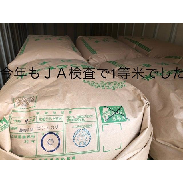 長野県産コシヒカリ白米　10ｋｇ　令和5年度産　農家直送　どじょう、ホウネンエビのいる田んぼで作ってます　遠赤外線乾燥