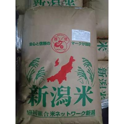 新潟県長岡産　新之助　減農薬米　白米または玄米　10kg　送料無料　※北海道、沖縄はプラス送料かかります。