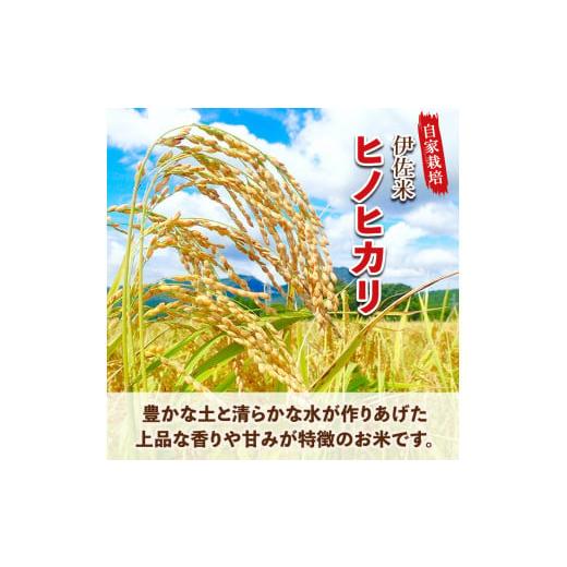 ふるさと納税 鹿児島県 伊佐市 isa312 伊佐のお米(5kg×6ヶ月・計30kg) 日本の米どころとして有名な伊佐の伊佐米ヒノヒカリ！