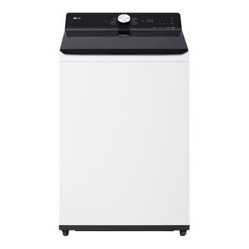 【LG 樂金】16公斤蒸氣直驅變頻直立洗衣機 WT-TD16HW (雲朵白)