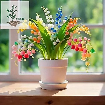青禾園藝（新品鈴蘭花種子）四季種子 濃香型花卉種子 好養 四季開花不斷 好養活 多年生 耐寒耐熱植物 易種植 庭院陽臺