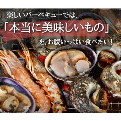 ふるさと納税 南知多町 海鮮バーベキューセット6種35品(鯛の塩釜付)BBQ8人前 CAS冷凍 牡蠣、海老、イカ、サザエ等