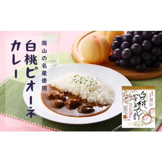 ふるさと納税 岡山県 新見市 千屋牛や地元食材を使ったレトルト9点詰め合わせセット