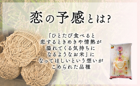 2023年産収穫「恋の予感」精米5kg