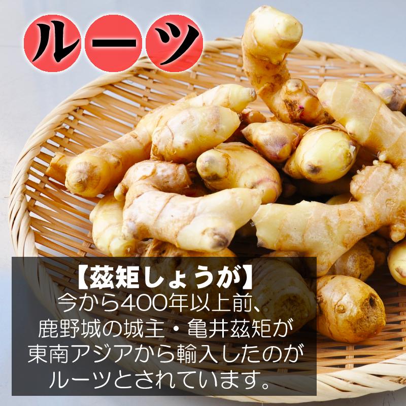 鳥取県産 熟成 生しょうが 4kg 茲矩(これのり)生姜 はらだ農産 産地直送 ショウガ ジンジャー