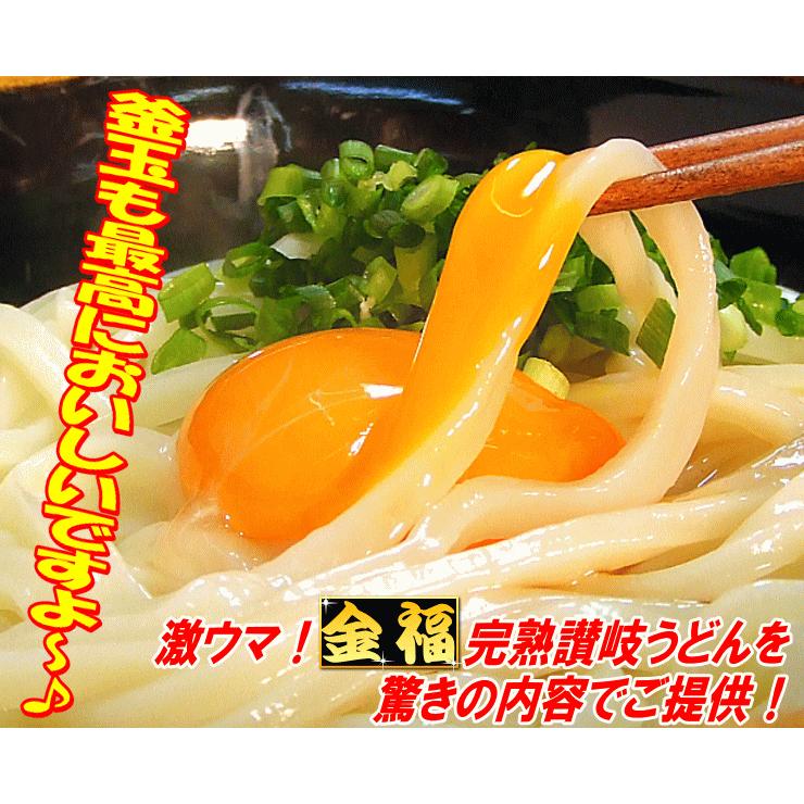 送料無料 うどん 金福完熟 讃岐うどん ！1人前食べ切り個包装タイプ！5食セット ネコポス お試し 讃岐 送料無 激安 さぬきうどん