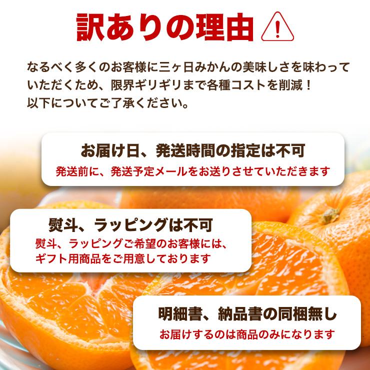  三ヶ日 早生 みかん 10kg どうまいらぁ！ みかん 送料無料 S 〜 3L サイズ不揃い 三ヶ日みかん 訳ありみかん 産地直送