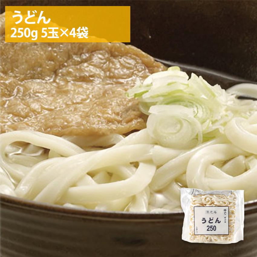 冷凍 うどん 250g×5玉×4袋 全部で20玉入り 5kg 業務用 冷凍麺 簡単調理 お徳用 まとめ買い 仕入れ 澤志庵 たくしあん