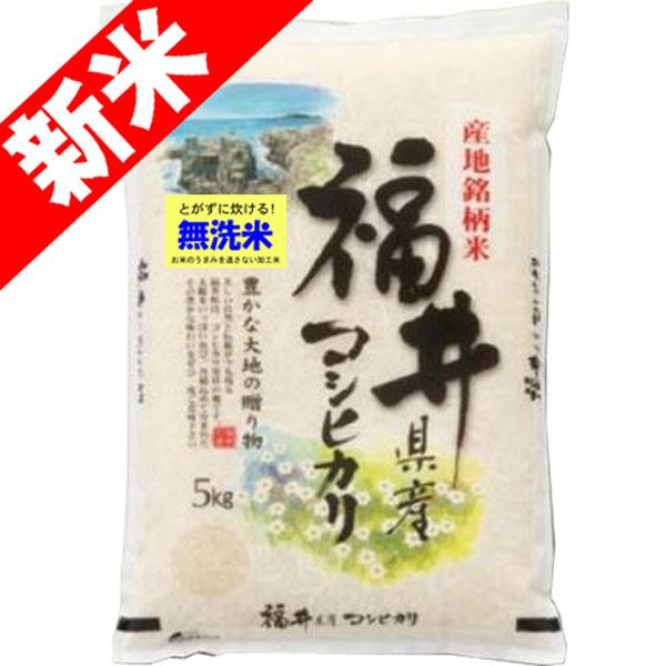 新米 令和5年産 無洗米 5kg 福井県産 コシヒカリ 出荷日精米  米 お米 送料無料