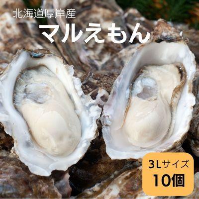 ふるさと納税 厚岸町 北海道厚岸町産 牡蠣 生食用 殻付カキ 「マルえもん」3Lサイズ10個入り