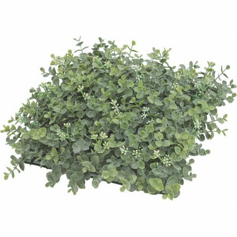 人工観葉植物 造花 業務用 施設 オフィス 店舗 装飾 フェイク グリーン リアル 飾り タカショー ユーカリマット A 通販 Lineポイント最大0 5 Get Lineショッピング
