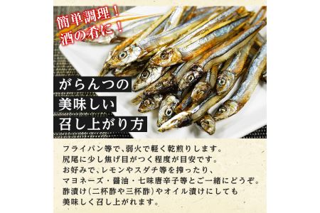 akune-2-81 鹿児島県阿久根市産！生干しシリーズ(5種)国産 生干し おつまみ おかず 魚介 魚貝 海産物 干物 ひもの 2-81