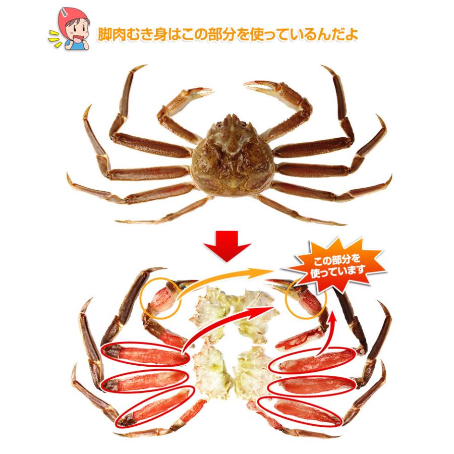 かに カニ 蟹 ズワイガニ ポーション 刺身 |L〜M生ずわい かにしゃぶ脚爪むき身（約800g）