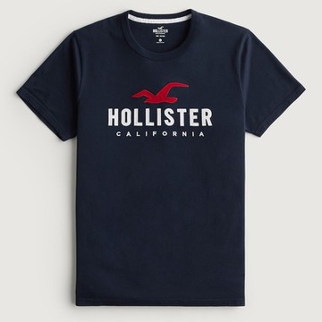 Hollister HCO 短袖 T恤 藍色 2334