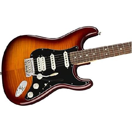 Fender エレキギター Player Stratocaster(R) HSS Plus Top, Pau Ferro Fingerboard, Tobacco Sunburst