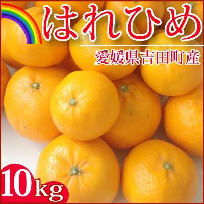 12月14日前後入荷　愛媛産 はれひめ 10kg