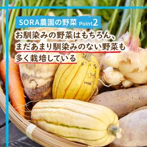 ふるさと納税 SORA農園 有機野菜セット（12種前後）冬季　＜京野菜・西洋野菜などオーガニック野菜セット＞ 京都府京丹後市