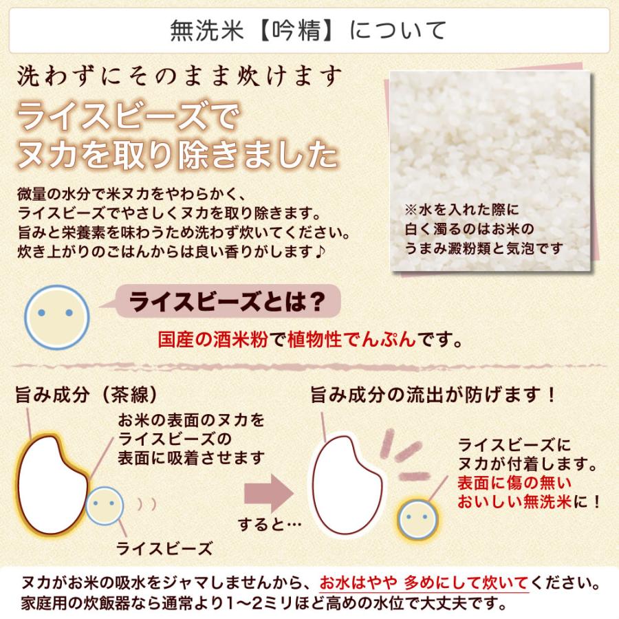 新米 無洗米 5kg 新潟産こしいぶき 吟精 令和5年産 送料無料 （北海道、九州、沖縄除く）