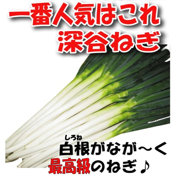 深谷ねぎ入り・たっぷり新鮮野菜セット 8〜10品目