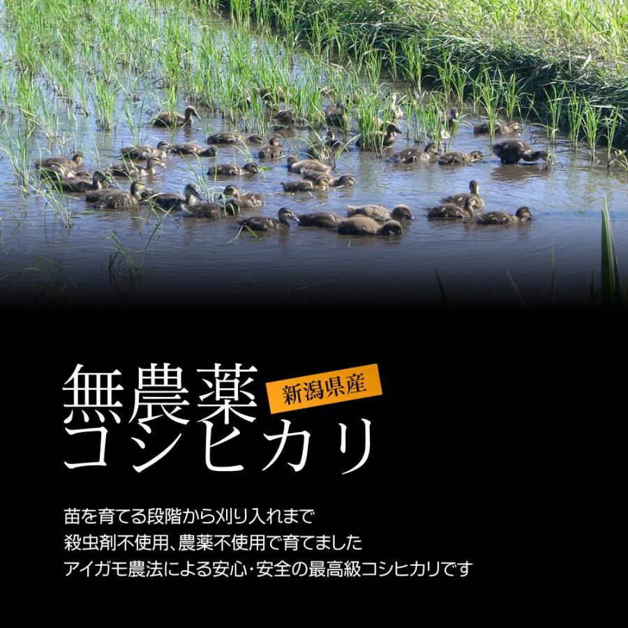 お米ギフト券 農薬無使用米コシヒカリ 2kg×12枚／お米 米 ギフト 新潟米 お米券 目録 引換券 景品 二次会 ゴルフ 内祝い お祝い お返し 香典返し 熨斗 名入れ