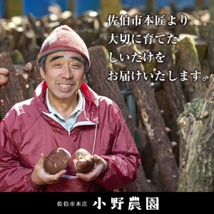 原木 乾しいたけ (計280g・70g×4P) 原木栽培 干し椎茸 しいたけ きのこ 出汁 大分県産 大分県 佐伯市 本匠  