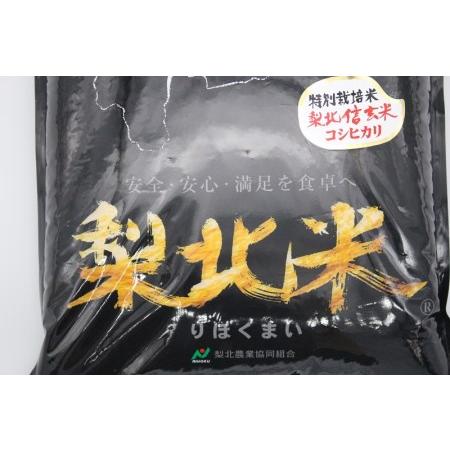 ふるさと納税 （玄米）梨北信玄米コシヒカリ10kg 山梨県北杜市