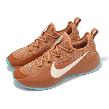 訓練鞋 LeBron TR 1 男鞋 琥珀棕 湖水綠 LBJ 運動鞋 Better With Age  FJ6151-200