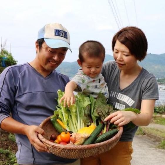 野菜 セット・詰め合わせ 九州発！栽培期間化学肥料?農薬不使用　旬の野菜8品詰め合せ 産地直送