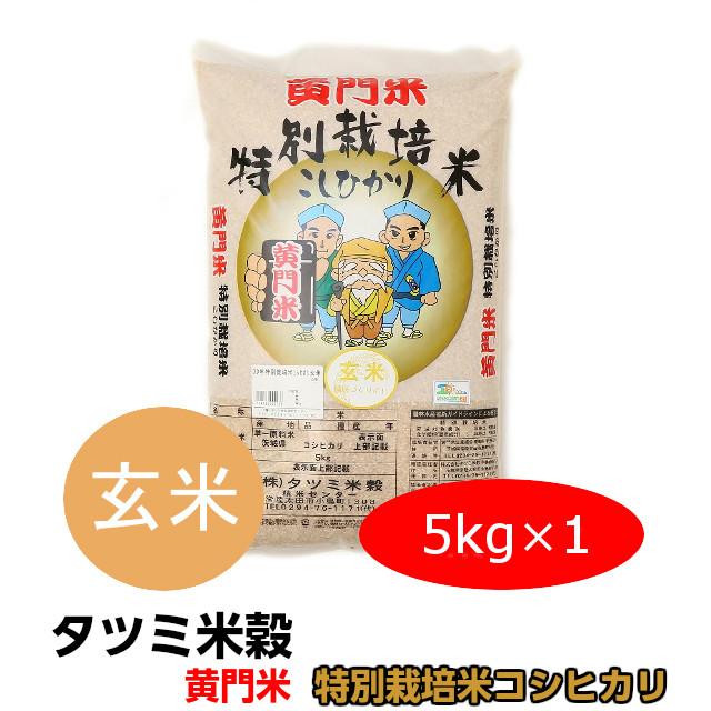 米 コシヒカリ こしひかり 黄門米 特別栽培米 玄米 5kg 令和5年産 ギフト 茨城県 お米 こめ おこめ