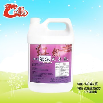 紅龍泡沫洗手露 填充桶1加侖*4/箱