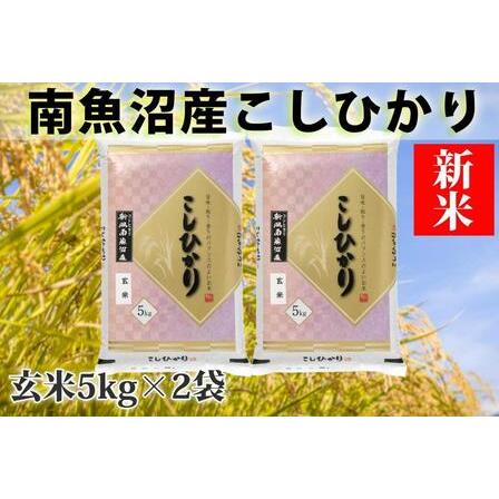 ふるさと納税 南魚沼産コシヒカリ「YUKI」(玄米10kg)×全12回 新潟県南魚沼市