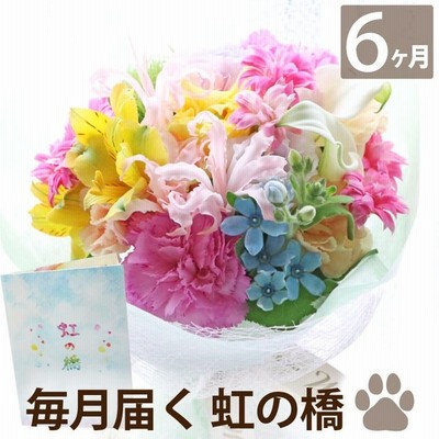 お供え 花 定期便 ペット 虹の橋 あの子 月命日 3か月 ふわふわ コース 生花 お悔やみ 供花 フラワー アレンジメント 枕花 犬 猫 命日 通販 Lineポイント最大get Lineショッピング