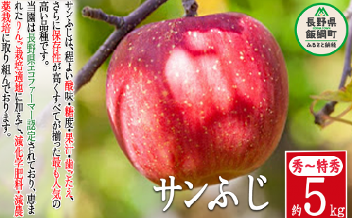 りんご サンふじ 秀 ～ 特秀 5kg 渡辺農園 沖縄県への配送不可 2023年12月上旬頃から2024年1月中旬頃まで順次発送予定 令和5年度収穫分 エコファーマー認定 減農薬栽培 長野県 飯綱町 [0169]