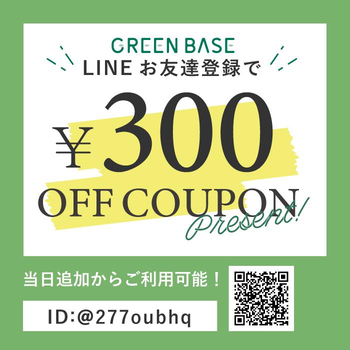 乾燥野菜 国産 DRYVEGETABLE 140ｇドライベジ ミックス 野菜 一人暮らし 常備菜 時短 味噌汁の具 キャベツ 白菜 小松菜 人参 大根 玉ねぎ