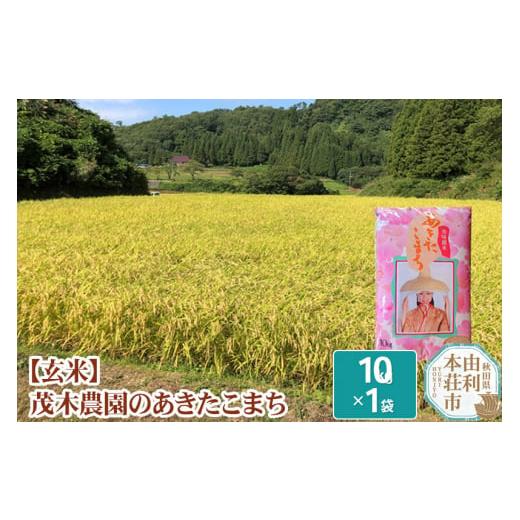 ふるさと納税 秋田県 由利本荘市 米 10kg 玄米 あきたこまち 令和5年産 秋田県産 茂木農園のあきたこまち 玄米 10kg