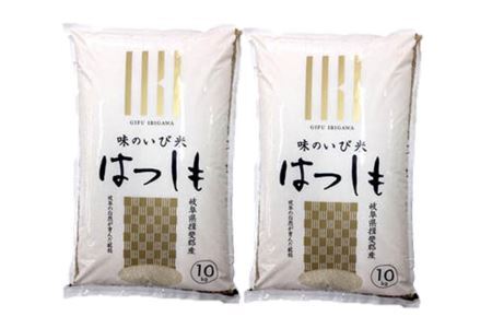 味のいび米ハツシモ20kg(10kg×2袋)