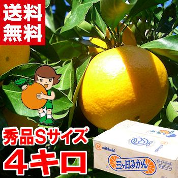 お歳暮 ギフト 三ケ日みかん（早生） 秀品Sサイズ 4kg