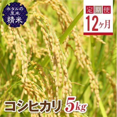 栽培期間中、農薬を減らした栽培米 コシヒカリ精米5kg