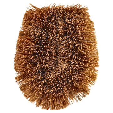 Aisen 植物纖維清潔刷  椰殼纖維  日本製  1個