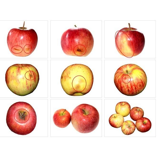 りんご 青森県産 ”サンふじりんご 訳あり 約5kg（風袋込）” 送料無料