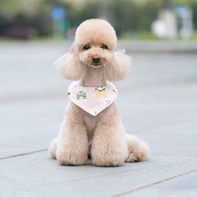 ペット用バンダナ スタイ スカーフ 犬用 猫用 アクセサリー ペット用品 ...