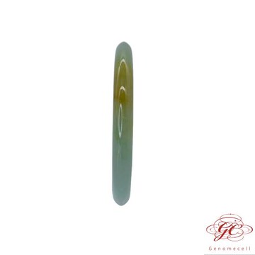 【肌容雪】緬甸天然A貨翡翠皇家綠翡翠泥鰍背手鐲 編號568(鐲寬55.5mm #18號)