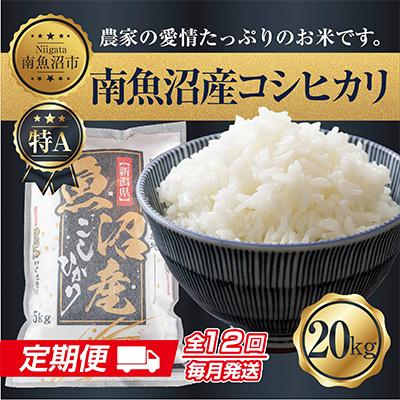 ふるさと納税 南魚沼市 新潟県 南魚沼産 コシヒカリ お米 20kg 精米 (美味しい炊き方ガイド付)全12回