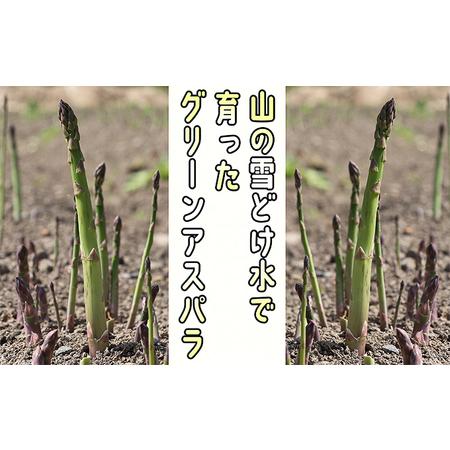 ふるさと納税 アスパラ 北海道 朝もぎ 春グリーンアスパラ 約1kg［ほりぐち農園］ ※2024年4月中旬出荷開始先行予約 北海道赤平市