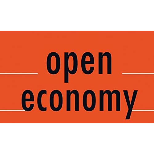 Open Economy Macroeconomics