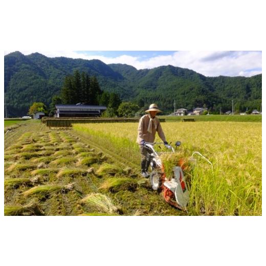 ふるさと納税 長野県 松川村 自然栽培　天日干し　亀の尾　玄米3kg